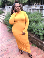 Load image into Gallery viewer, Plus Size Turtleneck Dress
