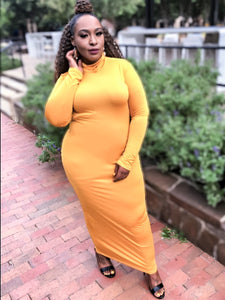 Plus Size Turtleneck Dress